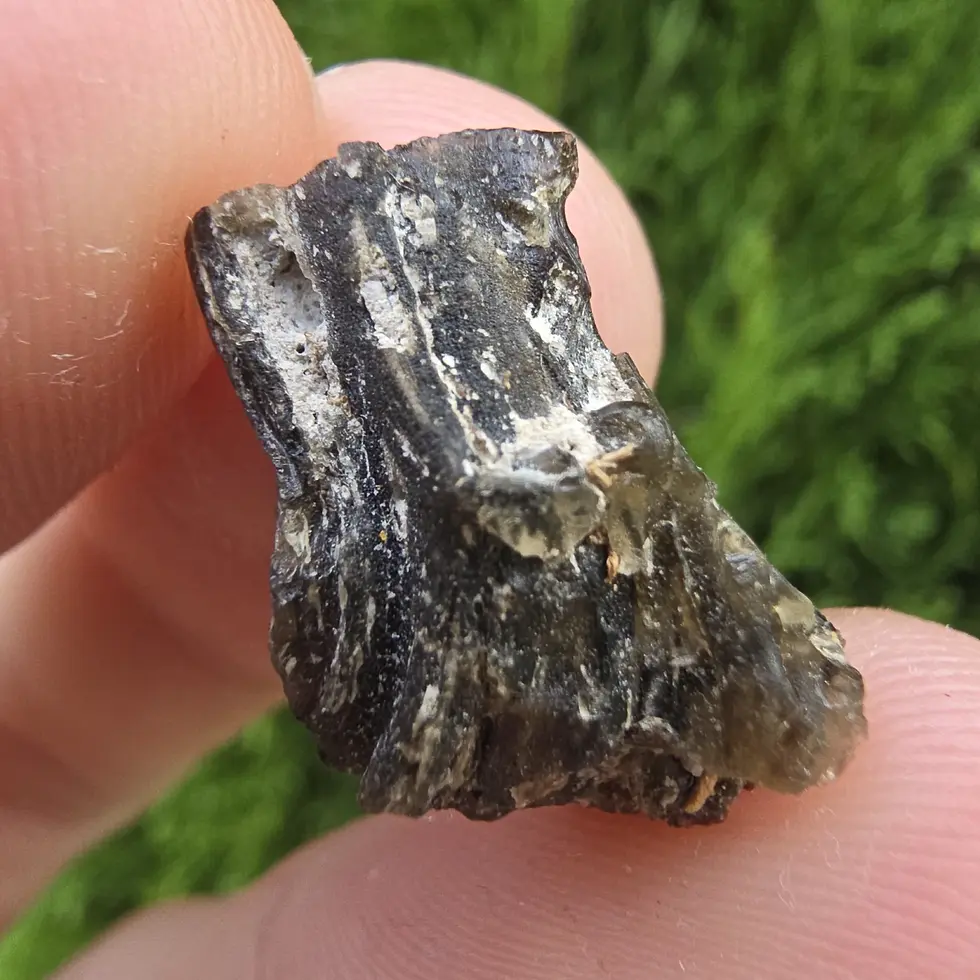 Darwin Glass/Darwinite 1.71g