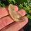 Thumbnail: Libyan Desert Glass 6.95g
