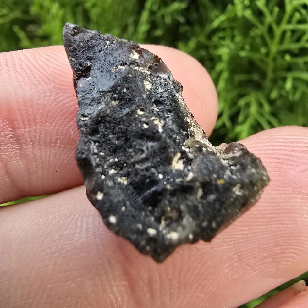 Thumbnail: Darwin Glass/Darwinite 2.22g