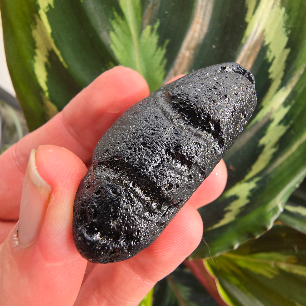 Thumbnail: Hand holding a dark, textured 2.48g Moldavite stone