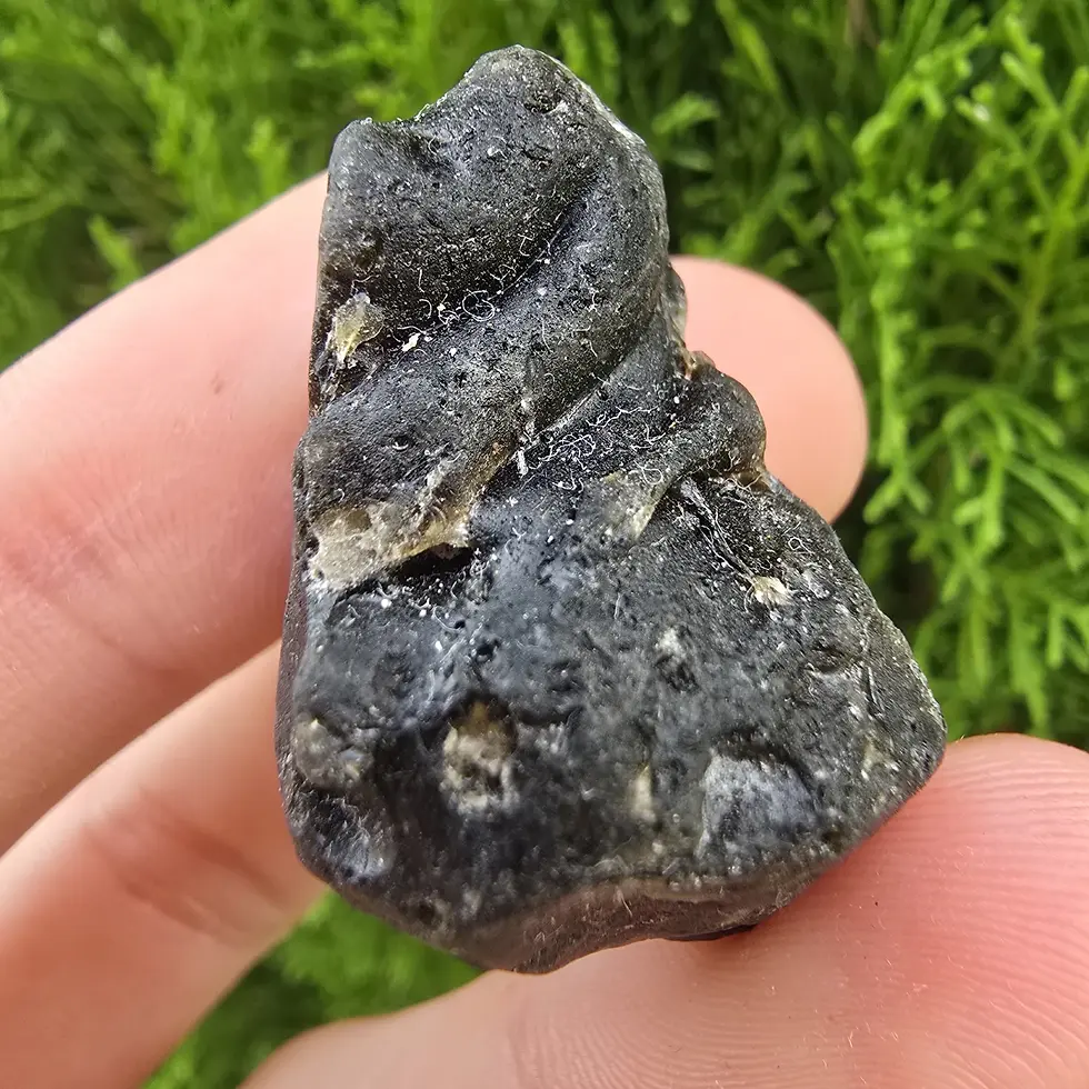 Thumbnail: Darwin Glass/Darwinite 16.77g