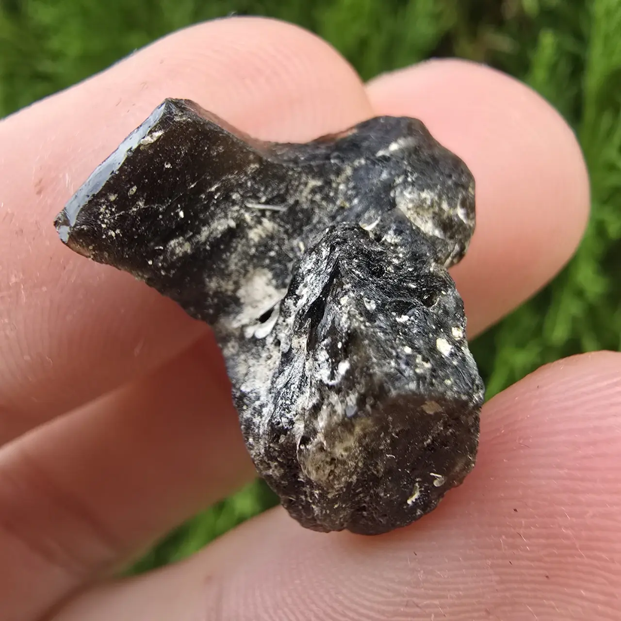 Darwin Glass/Darwinite 2.71g