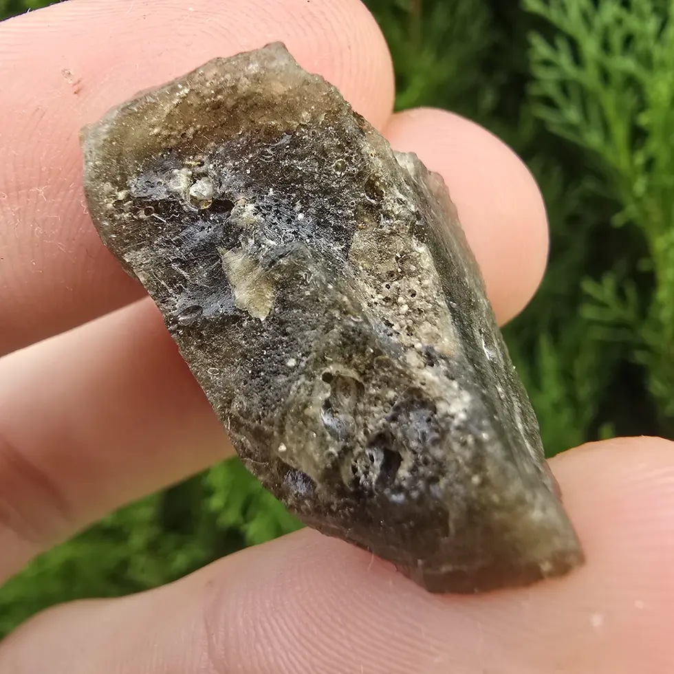 Thumbnail: Darwin Glass/Darwinite 4.94g