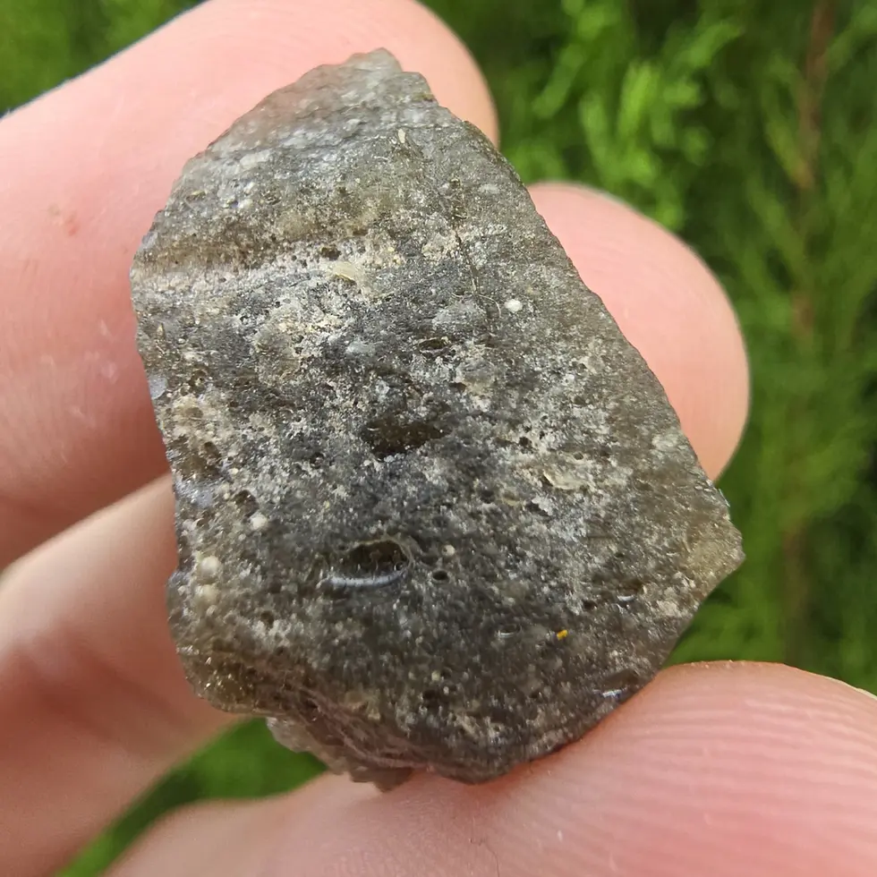 Thumbnail: Darwin Glass/Darwinite 4.94g