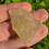 Thumbnail: Libyan Desert Glass 7.16g