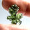 Thumbnail: Besednice Jezkovna Moldavite 2.352g