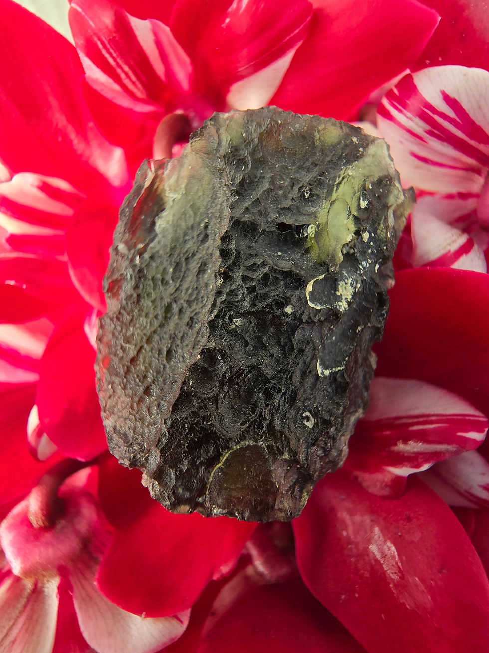 Thumbnail: Buy genuine moldavites online New Zealand.