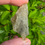 Thumbnail: Libyan Desert Glass 24.7g (hagstone)