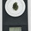 Thumbnail: Buy genuine moldavites online New Zealand.