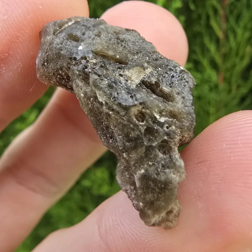 Thumbnail: Darwin Glass/Darwinite 4.94g