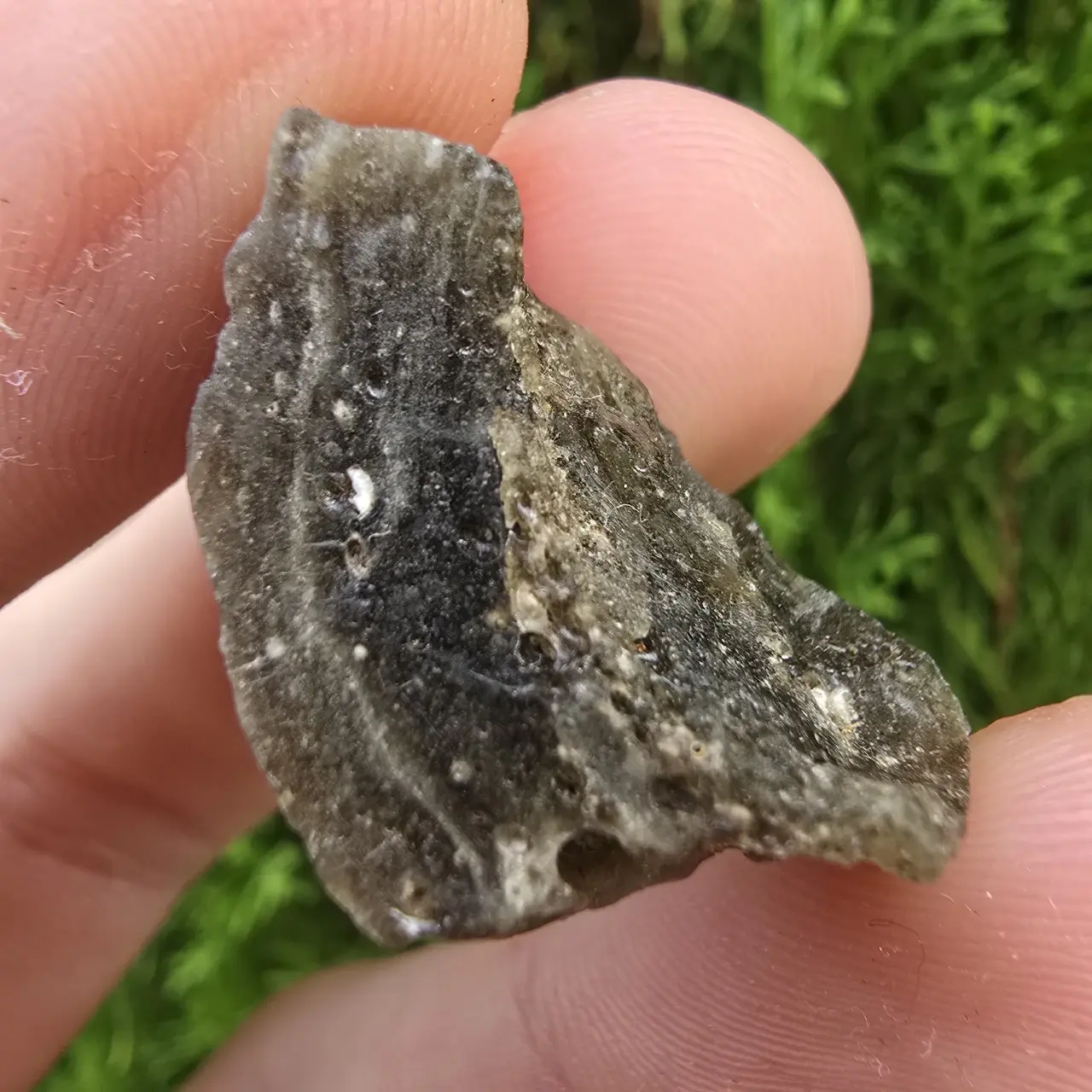 Darwin Glass/Darwinite 4.94g
