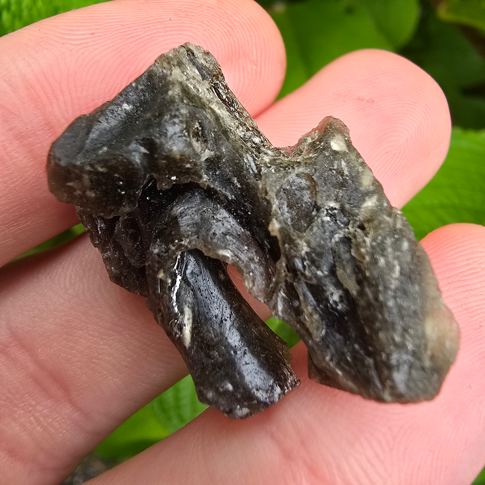 Thumbnail: Hand holding a dark green Moldavite, 1.82g
