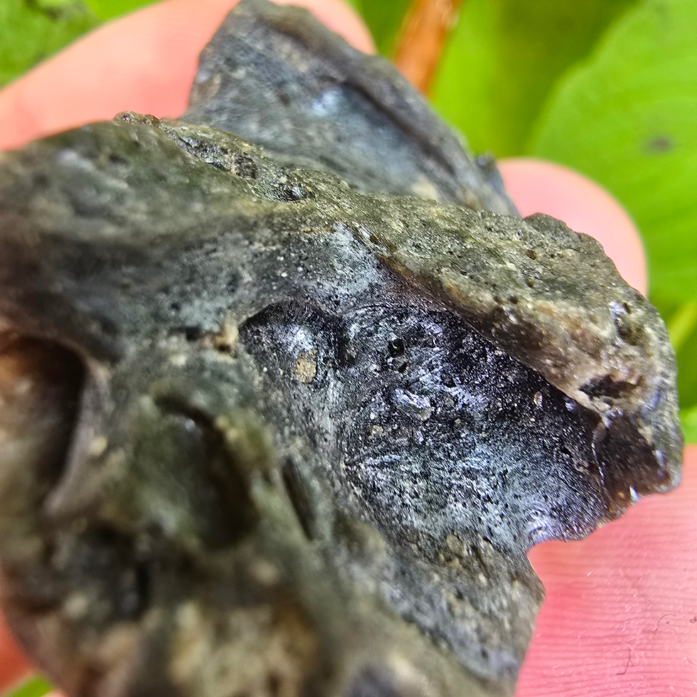 Thumbnail: Darwin Glass/Darwinite 17.17g