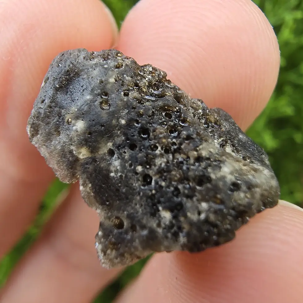 Thumbnail: Darwin Glass/Darwinite 2.22g