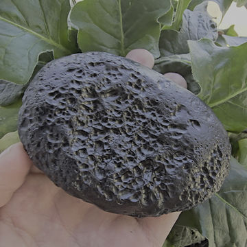Thumbnail: Thailand Indochinite tektite 217.78g