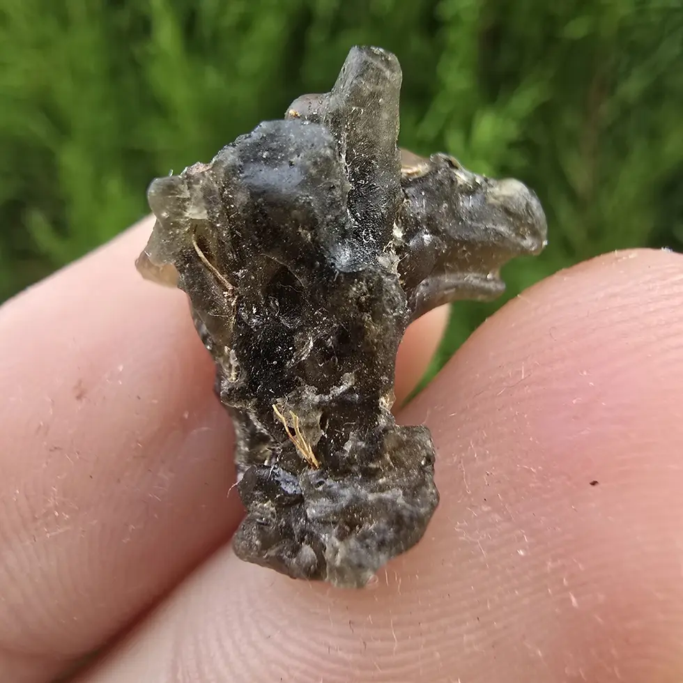 Darwin Glass/Darwinite 1.44g