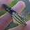Thumbnail: Libyan Desert Glass Pendant 4.547g