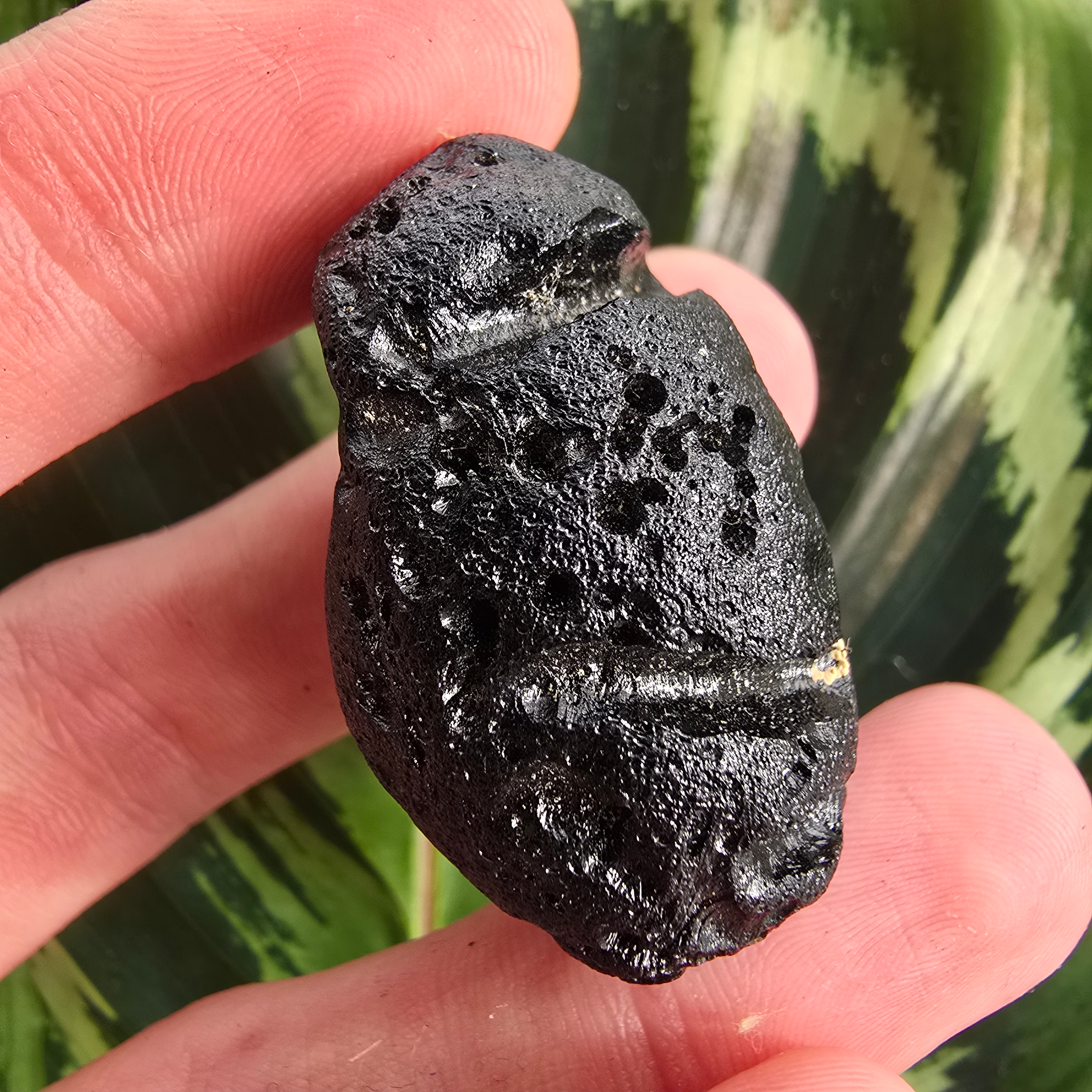 Philippinite Tektite
