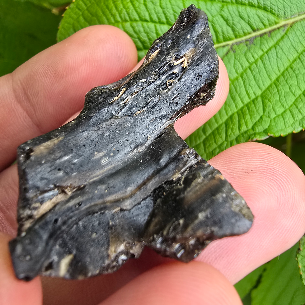 Thumbnail: Dark, textured Moldavite 10.27g in hand