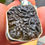 Thumbnail: Moldavite Pendant