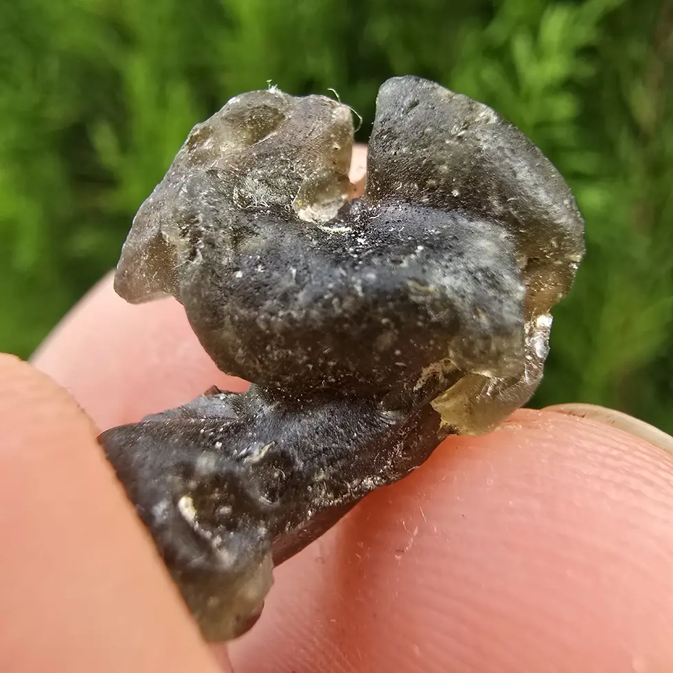 Thumbnail: Darwin Glass/Darwinite 1.82g