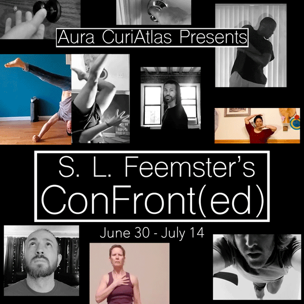Conf3.gif