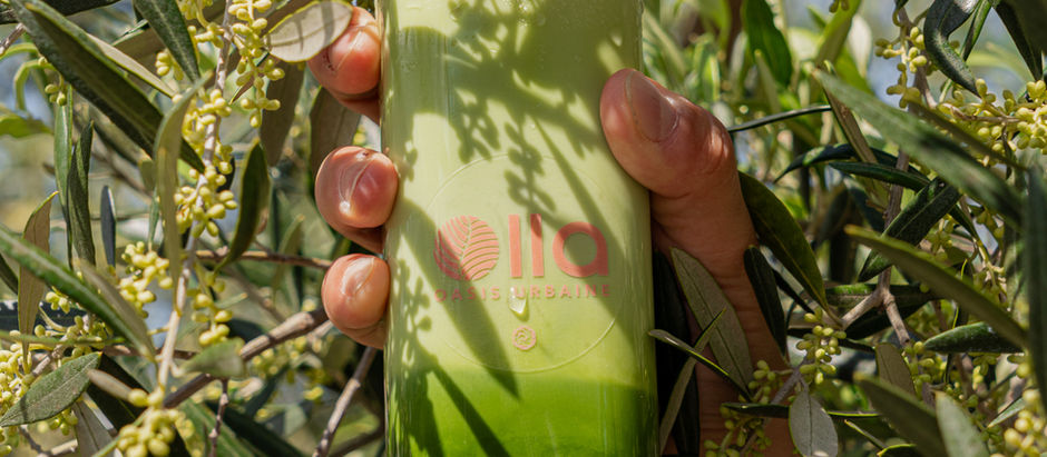 Quel fruit associer avec le matcha ? Framboise, mangue, abricot : nos associations préférées