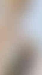 Olla Montpellier enseigne franchise