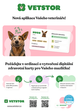 vet_A3_poster_2026.png