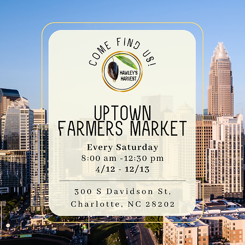 Day -2 Come Find Us This Week.png