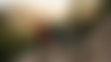 Boulder Hiking Trails by Difficulty: Easy Strolls to Expert Summits