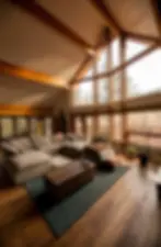 Spacious living room with sectional sofa, skylights, and forest views at The Rusty Skillet