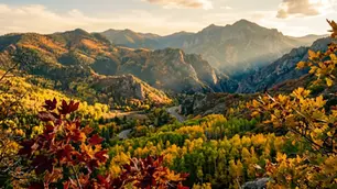 How to Read a Fall Color Foliage Map (What Nobody Tells You)