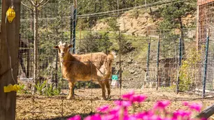 Boulder's Best Luxury Spa Retreats: A Local Expert's Guide to Colorado Mountain Wellness