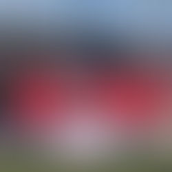 Thinking about a Tournament? Here's what you need to know