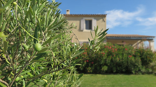 propriété de vacances dans le Luberon au sein d'une petite exploitation agricole