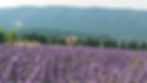 Le Luberon