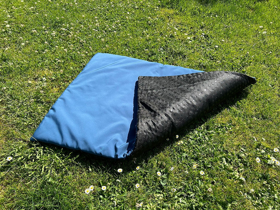 Blau uni