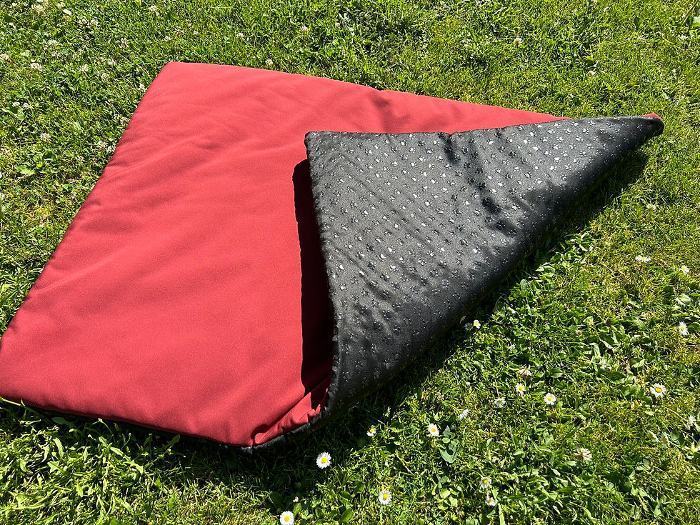 Rot uni