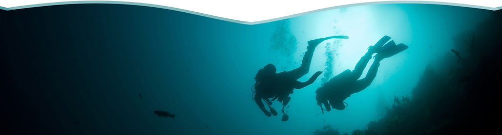 divers paradise 08.jpeg