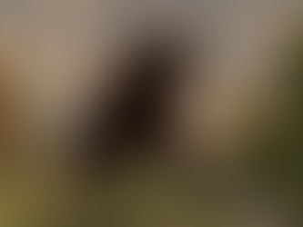 Latest Render: King of the Mountain