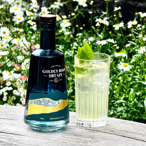 Lemoncello Gin Fizz Recipe