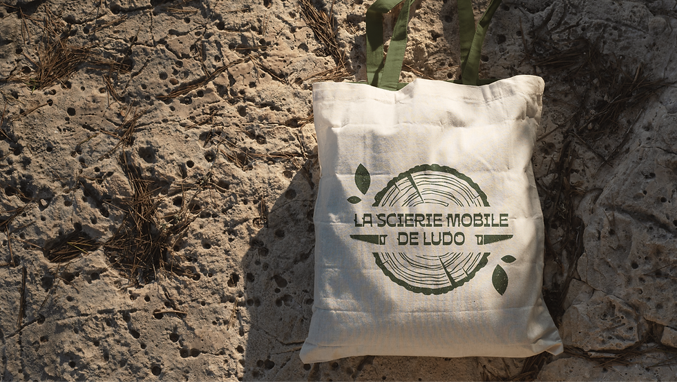 Scierie mobile de Ludo9.png