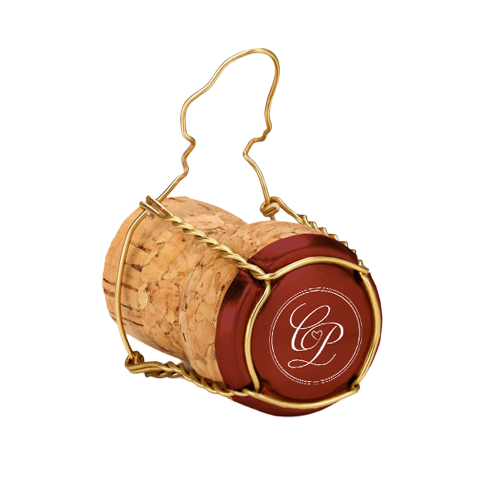 Capsule C&P 1.png