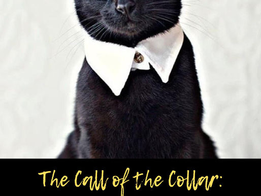 The Call of the Collar: Attaching Style To A Sleepy Winter