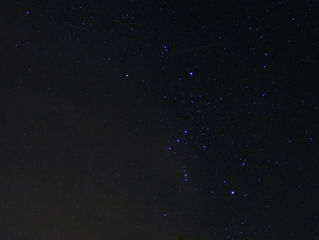 Orionida maximum 10.21.