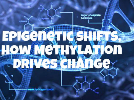 Epigenetic Shifts: How Methylation Drives Change