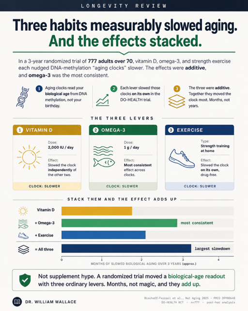 A 3 year randomised trial in adults over 70 found that vitamin D, omega 3 and strength exercise each modestly slowed biological ageing markers, with the strongest effect when all three were combined.