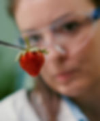 Uncovering how your genes and food work together to support your wellbeing