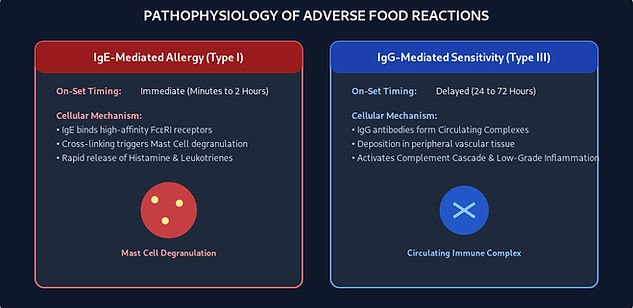 Pathophysiology Comparison – IgE vs. IgG. Scientific comparison of immediate Type I Hypersensitivity vs. delayed Type III Immune Complex formation.